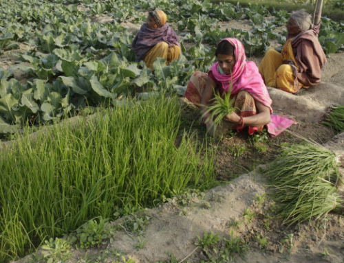 Case Study – Agricultural Workers in Munger, Bihar